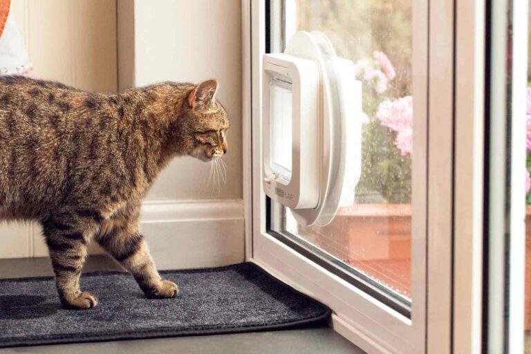 Cat Flap
