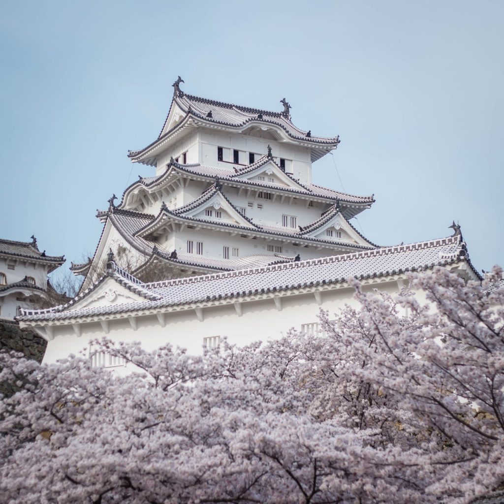 Shiba Park Hotel In Tokyo To Host Cherry Blossom-Viewing Event