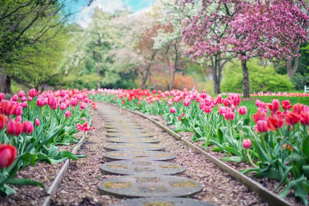 Xi'an Launches Flower City Project, Adding 6 Million m2 Of Gardens To Central District